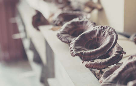 image of Lingzhi mushroom in modern farm.の写真素材