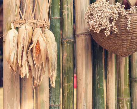 vintage tone image of Dried corn hang on wooden wall.の写真素材