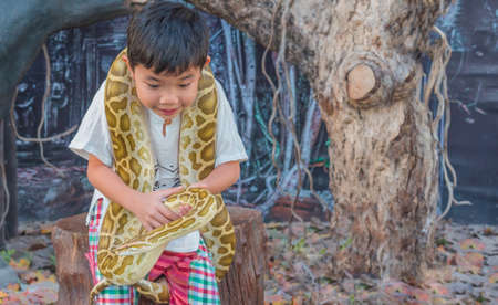 image of yong cute asian boy hold Boa constrictor snake  on his shoulder.の写真素材