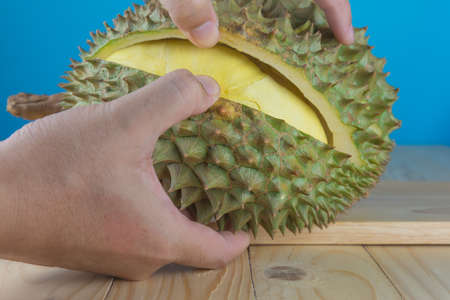 hand hold durian peel to see yellow pulp inside.