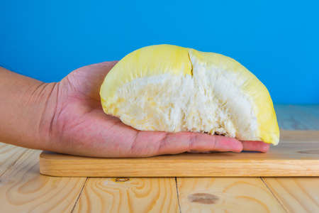 image of hand hold durian pulp on wood table.の写真素材