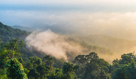 image of row of tree with sun and fog view from high angle spot on morning time.の写真素材