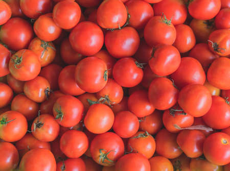 image of fresh tomatoes in basket .の写真素材