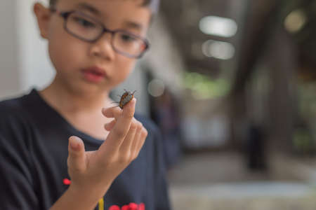 Cute young Asian boy holding a black-orange worm caterpillar.の写真素材