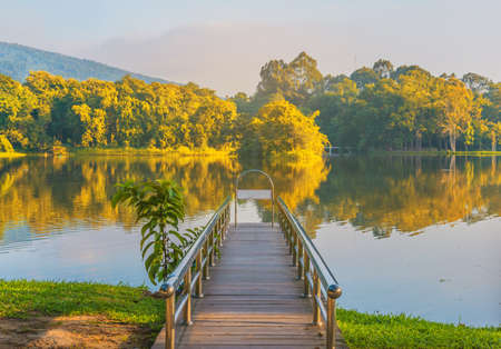 stainless steel bridge or pier at lake i in autumn time with leaves turns to yellow color for background.の写真素材