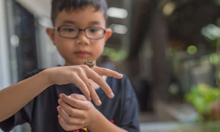 Cute young Asian boy holding a black-orange worm caterpillar.の写真素材
