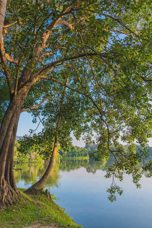 image of lake and the mountain with beautiful blue sky in evening time at ang kaew in Chiang Mai University ,Thailand.(vertical)の写真素材