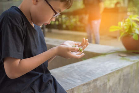image of cute young Asian boy holding a green worm caterpillar.の写真素材