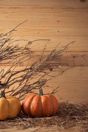 vintage tone image of Halloween pumpkin and vary ornament on wood table with Wooden background.(vertical)の写真素材