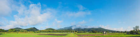 Panorama image of beauty sunny day on the rice field with sky and mountain in background at Doi Suthep Chiang Mai,Thailand.の写真素材