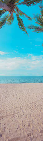 vintage tone of coconut tree and clear blue sky in background.(vertical)の写真素材