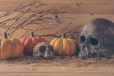 vintage tone image of Halloween pumpkin and vary ornament on wood table with Wooden background.の写真素材