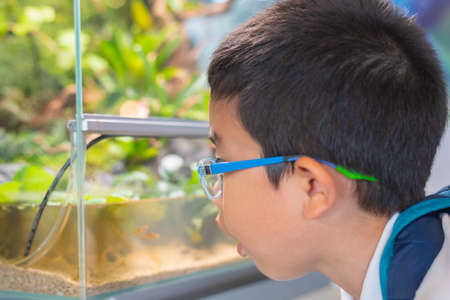close up image of young Asian boy look at aquarium tank with a variety of green plants inside.