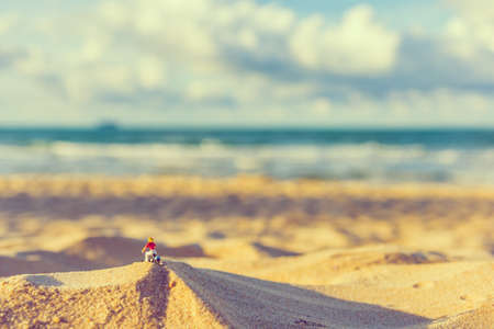 minifigure doll idea image of woman riding bicycle with blur beautiful sea on day time in background.の写真素材