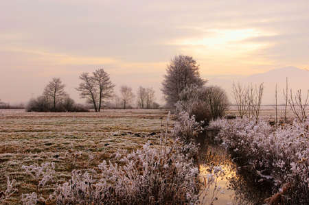 Frozen countryside outside Ljubljanaの写真素材
