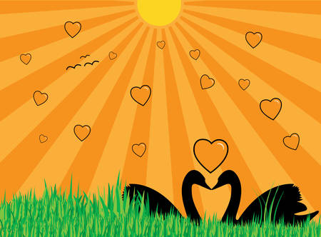 Illustration of two swans showing their silhouettes, many hearts, grass and sun with raysのイラスト素材