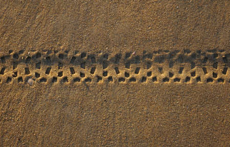 Nice and clear bicycle tracks on a sandy beachの写真素材