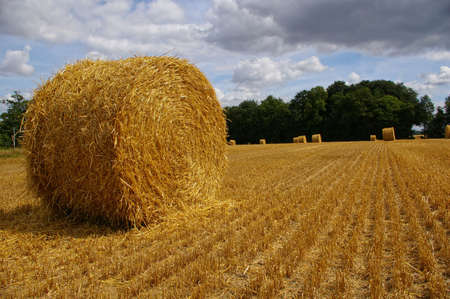 Hay bales in the countryside, Normandy, France.