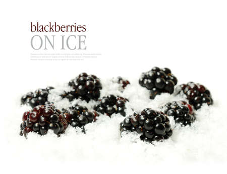 Studio macro of fresh ripe juicy blackberries buried in soft powdered ice. Copy space.の写真素材