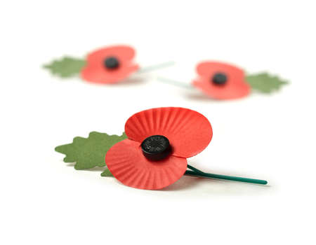 NOTTINGHAM, ENGLAND - OCTOBER 20: The red remembrance poppy has become a familiar emblem of Remembrance Day, their brilliant red colour an appropriate symbol for the blood spilled in the war. The Royal British Legion is the UK's leading Service charity のeditorial素材