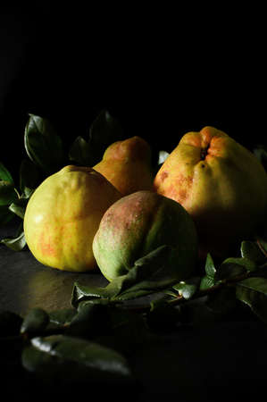 Creatively lit Quince fruits and foliage against a dark background. Copy space.の写真素材