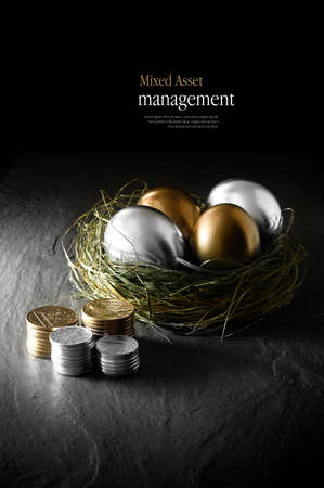 Concept image for mixed asset financial management. Mixed gold and silver goose eggs in a grass birds nest against a black background. Copy space. Concept image for mixed asset financial management. Mixed gold and silver goose eggs in a grass birds nest against a black background. Copy space.