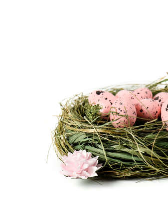 Genuine grass nest with pink speckled eggs and flowers against a white background
