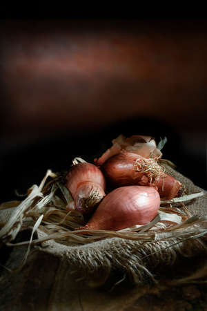 Echalion shallot onions in a rustic setting with hessian and raffia against a dark background. Concept image for farmhouse style cooking or vegetable harvest. Generous copy space.の写真素材