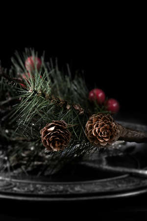 Closeup of pine cones and pine needles against a dark background. Creatively lit with deliberate shallow depth of field and selective focus. Concept image for Christmas or Thanksgiving. Copy space.の写真素材