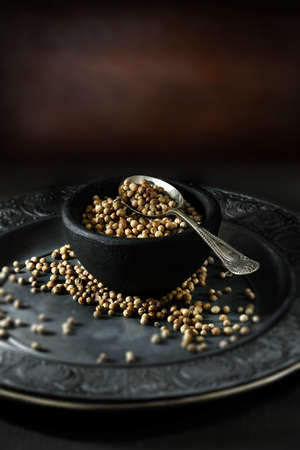 Creatively lit Indian fresh coriander seeds, also called cilantro seeds, against a rustic background with selective focus. Concept image for Indian cooking. Copy space.の写真素材
