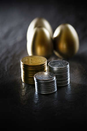 Creatively lit concept image for pension fund, investments, and savings. Gold and silver coins with a golden egg against a dark background on oiled slate. Copy space.の写真素材