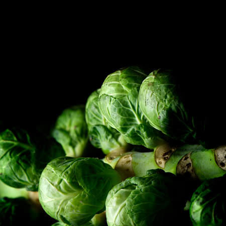 Close-up of fresh, organic seasonal Christmas and Thanksgiving Brussel Sprout vegetables against a...