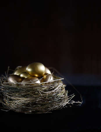 Creatively lit bird nest with golden eggs, concept image for investments and pensions. Generous...