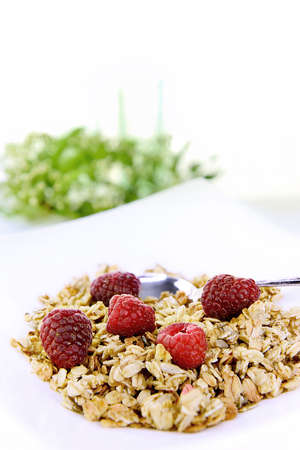 Crunchy Oat Granola Breakfast with fresh raspberries shot against a  bright, white background with...