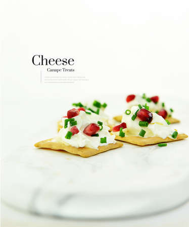 Fresh, bright image of thick generous cream cheese canapes with chives and pomegranate seed garnish on Spelt crackers shot against white. The perfect image for your restaurant appetizer menu cover art.の写真素材