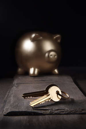 A unique and original property investment image depicting a gold piggy bank and house keys shot against a dark background on slate with generous accommodation for copy space..の写真素材