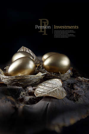 Concept image for pension investments and savings. Gold painted eggs in bird nests with gold leaves shot against a black background with generous copy space. Illustrative display text can easily be removed from the image.の写真素材