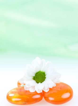 blossom on orange stones with green backgroundの写真素材