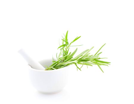 rosemary in mortar isolated on whiteの写真素材
