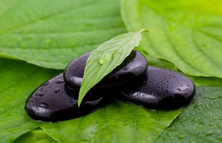 stone and leaf on green の写真素材