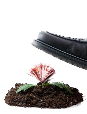 banknote is growing and will be destroyed isolated on whiteの写真素材