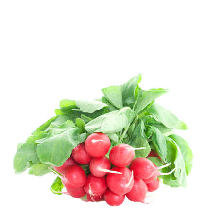 fresh radish isolated on white background 
