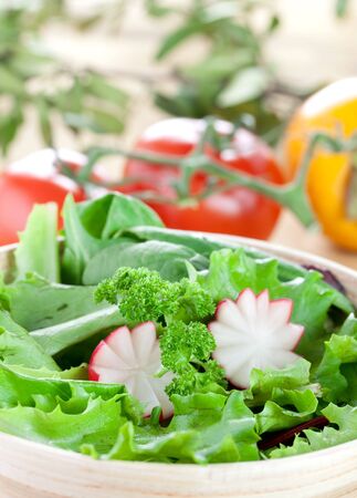 fresh salad with radish closeup の写真素材