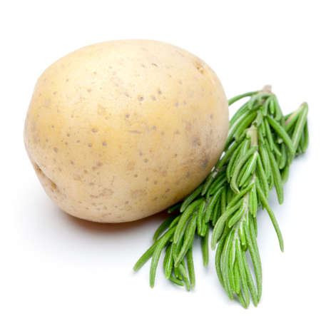 potato with rosemary isolated on white background の写真素材