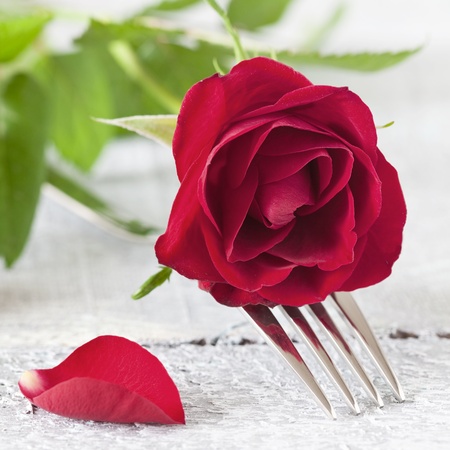 fork with red rose 