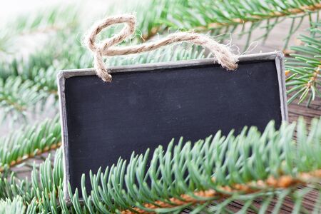 tag and fir for christmas の写真素材