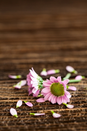 flowers on wooden background with copy spaceの写真素材