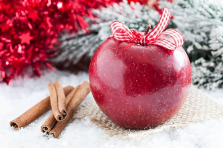red apple and cinnamon fpr christmasの写真素材