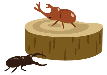 Insect collecting beetles stagのイラスト素材