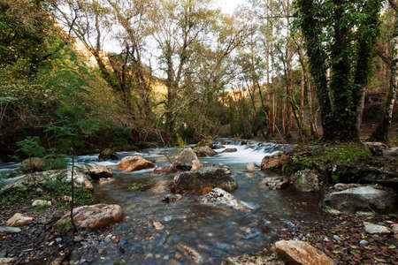 River Under Trees - Autumn Iの写真素材